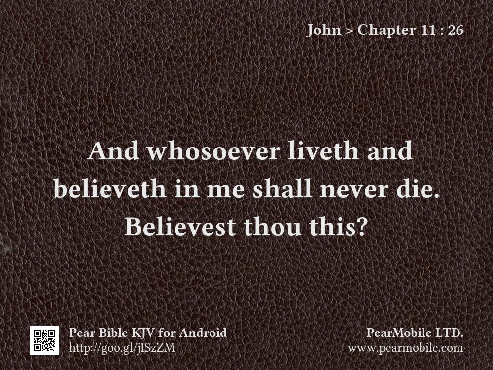 John, Chapter 11:26